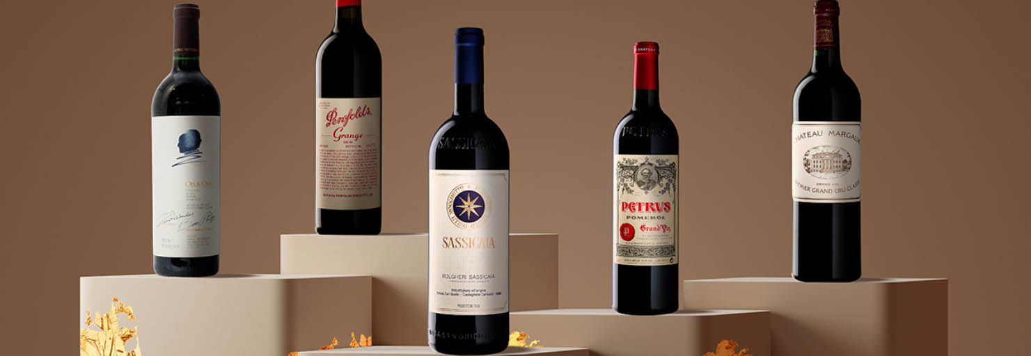 Winery Serie Geschäft -Winery Serie Geschäft fgjgj